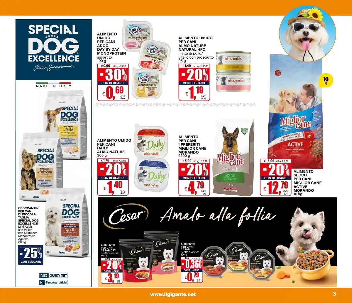 Pets Dal 21 Maggio