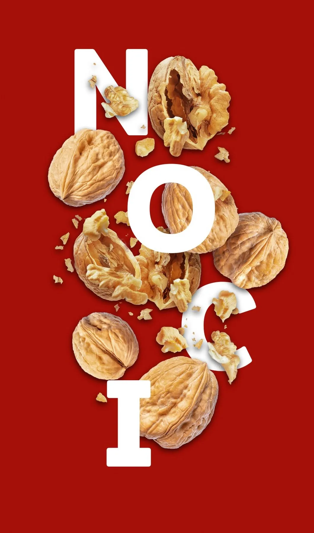 Volantino Lidl Natale 2025 2 – lidl natale 40