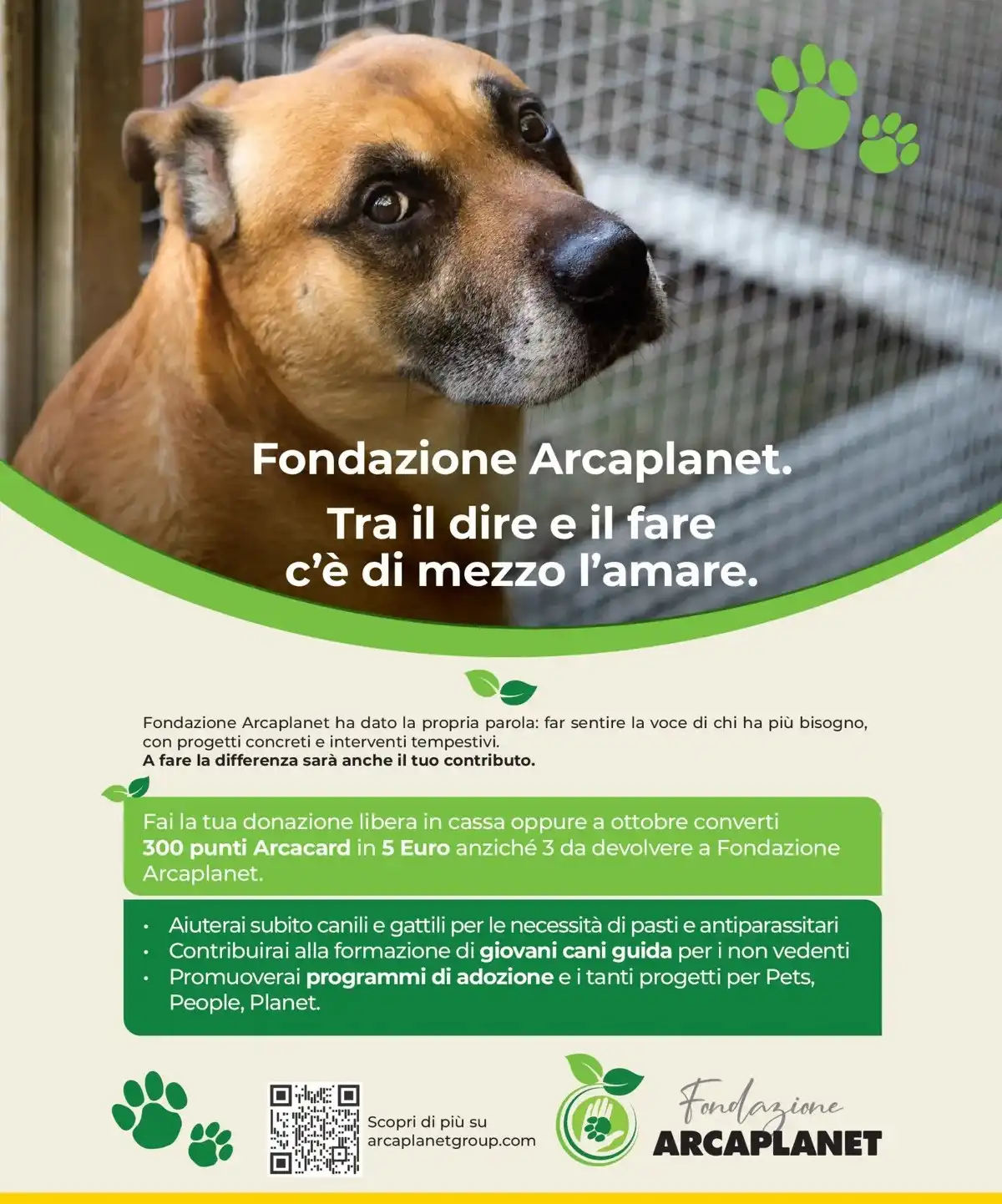 Volantino Arcaplanet nuovo dal 17 novembre al 31 novembre, 2025 anteprima 3 – arcaplanet volantino 40 1