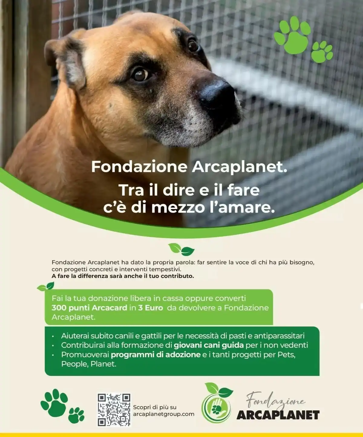 Volantino Arcaplanet Black Friday 2025 4 – arcaplanet volantino 50