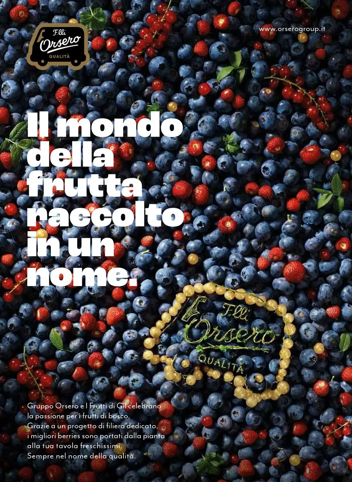 Volantino COOP Natale 2025 8 – coop natale 28