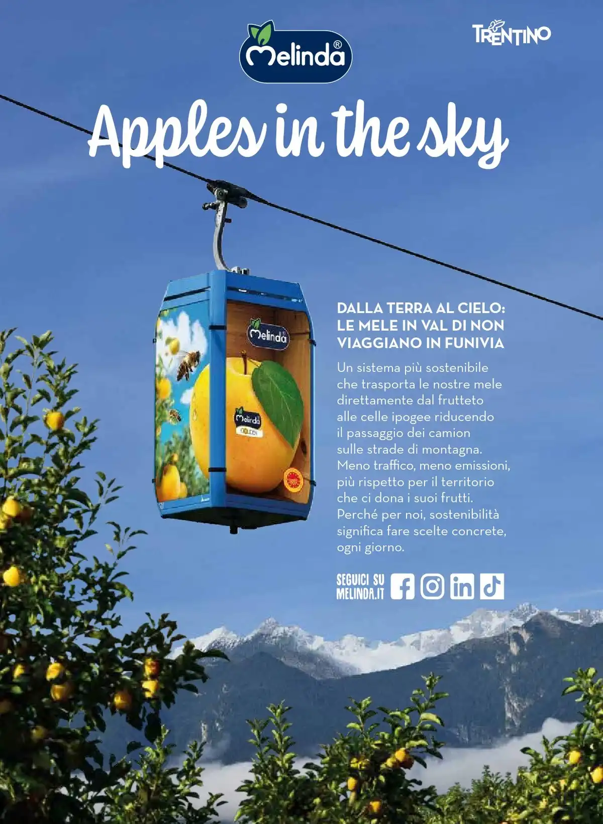 Volantino COOP Natale 2025 8 – coop natale 38