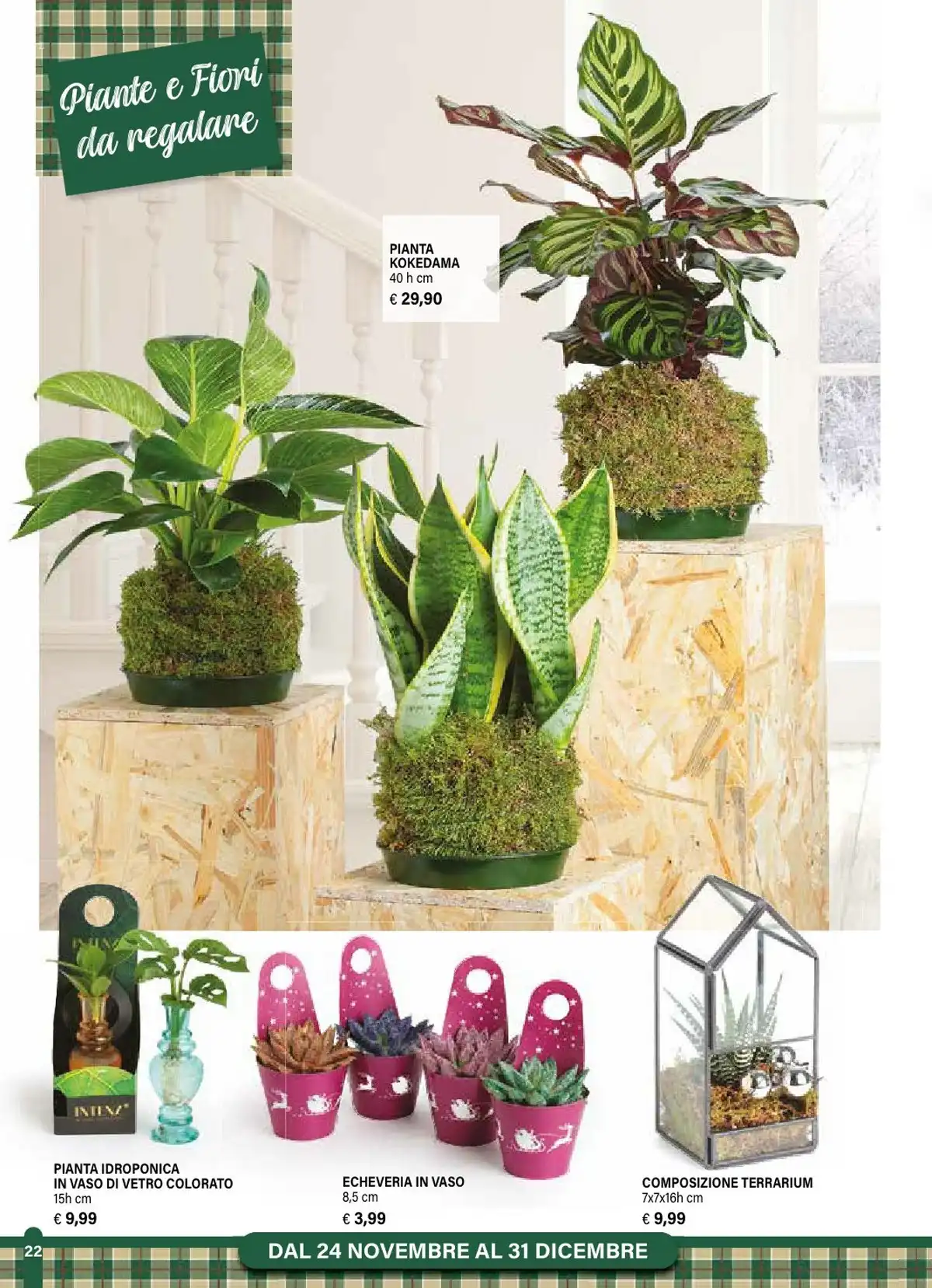 Volantino il Gigante Natale 2025 2 – il gigante 22 2