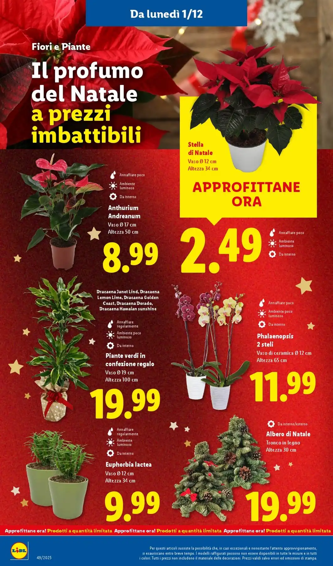 Volantino Lidl nuovo dal 8 dicembre al 14 dicembre, 2025 anteprima 6 – lidl volantino 46 1