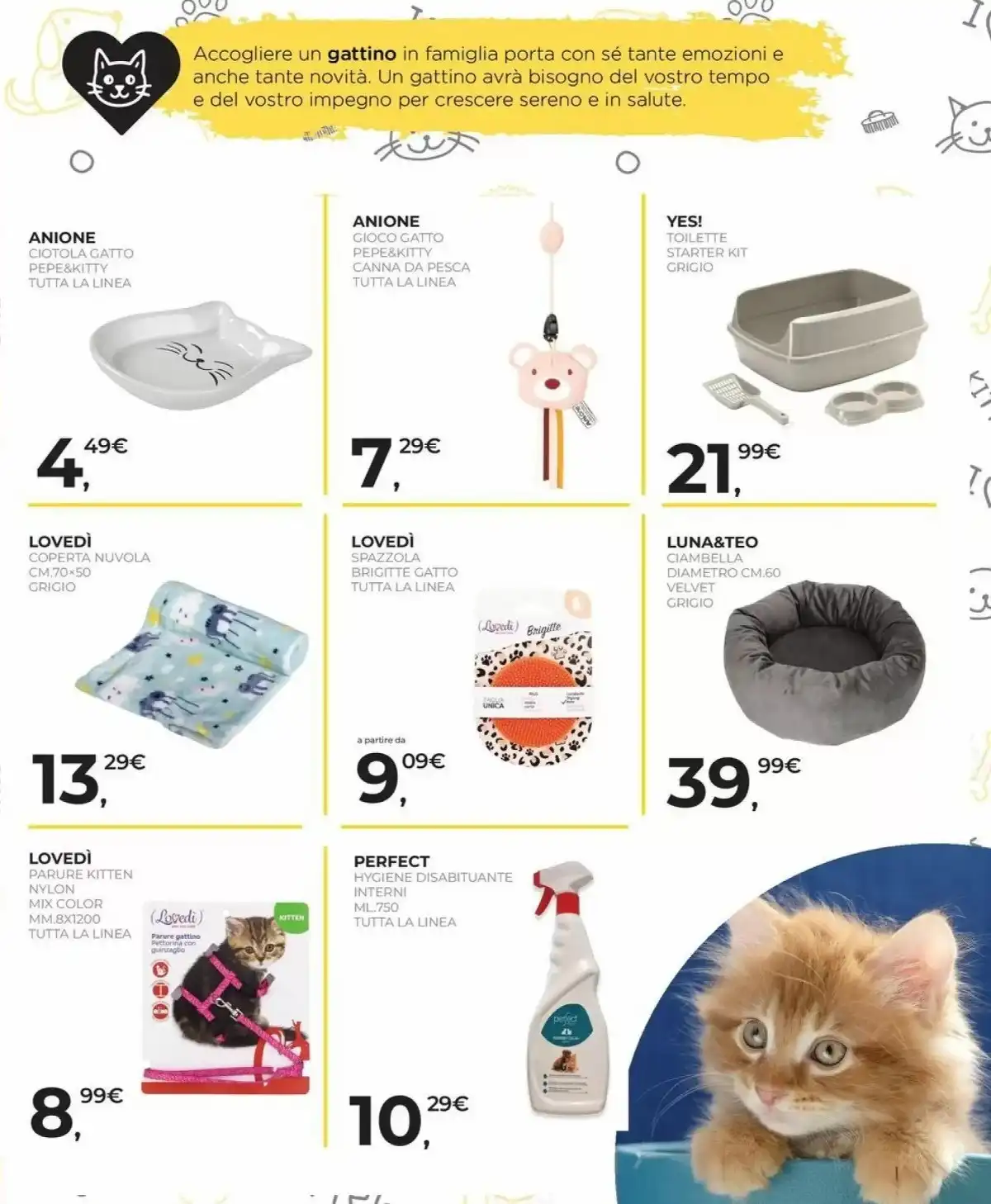 Volantino Arcaplanet nuovo dal 19 gennaio al 31 gennaio, 2026 anteprima 4 – arcaplanet volantino 17