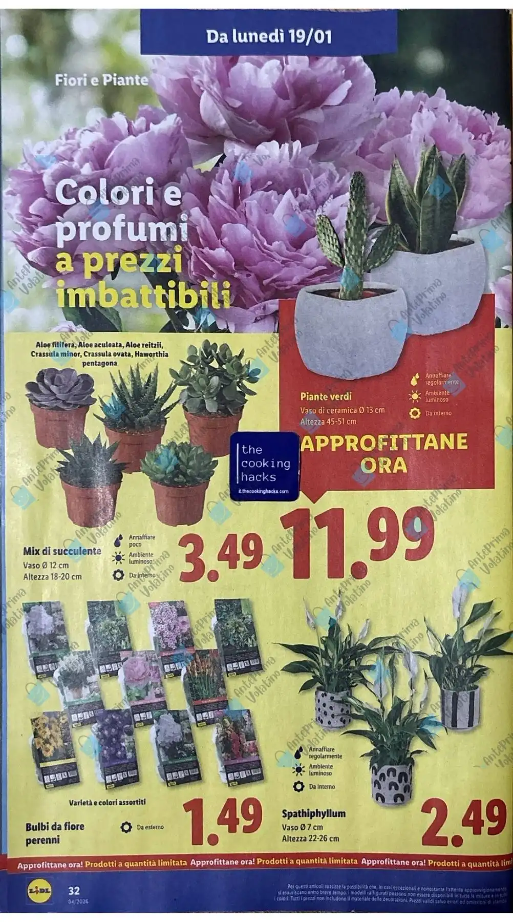 Volantino Lidl nuovo dal 19 gennaio al 25 gennaio, 2026 anteprima 4 – lidl volantino 23 1