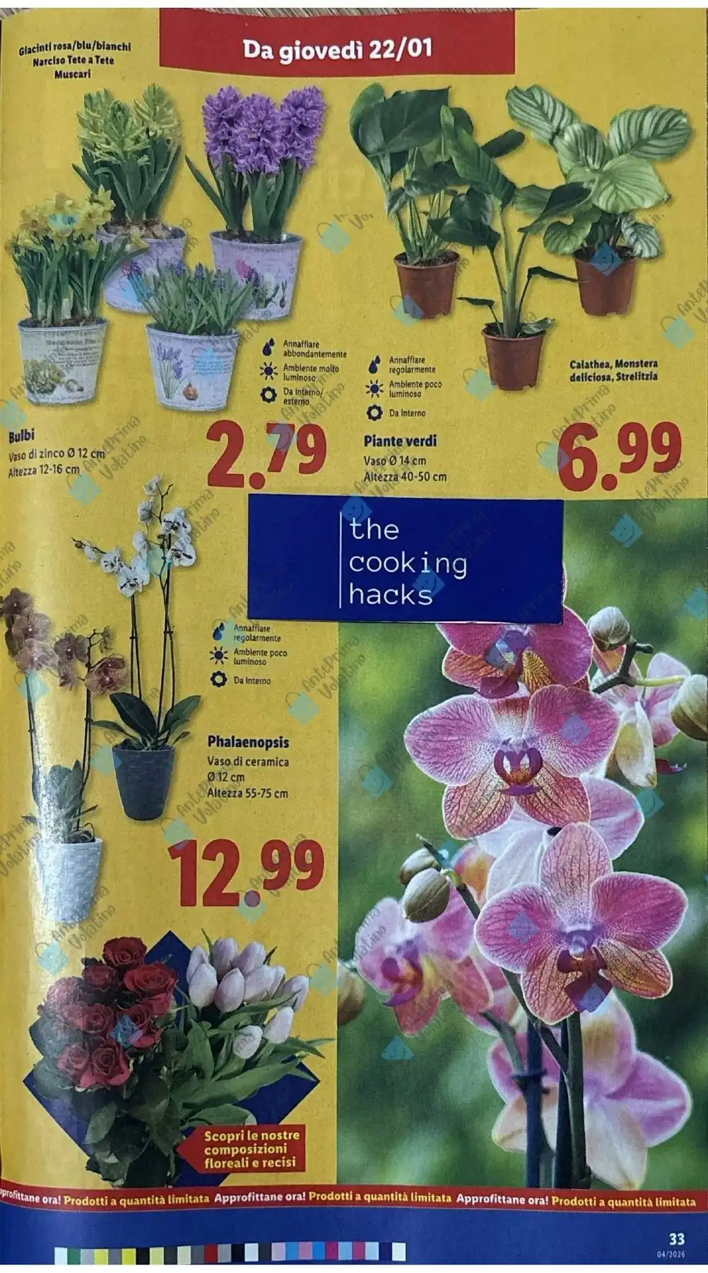 Volantino Lidl nuovo dal 19 gennaio al 25 gennaio, 2026 anteprima 5 – lidl volantino 24 1