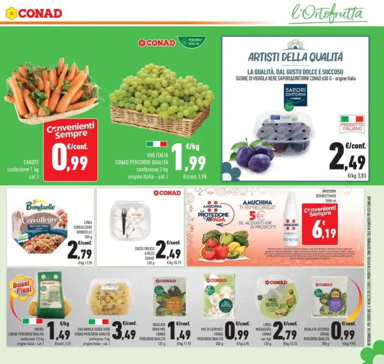 Volantino Conad Dal 9 Settembre Al 22 Settembre 2026 Anteprima - Immagine 1 Dal 9 Settembre
