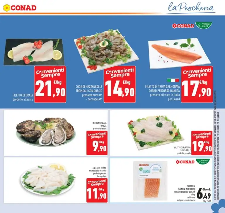 Volantino Conad Dal 9 Settembre Al 22 Settembre 2026 Anteprima - Immagine 1 Dal 9 Settembre