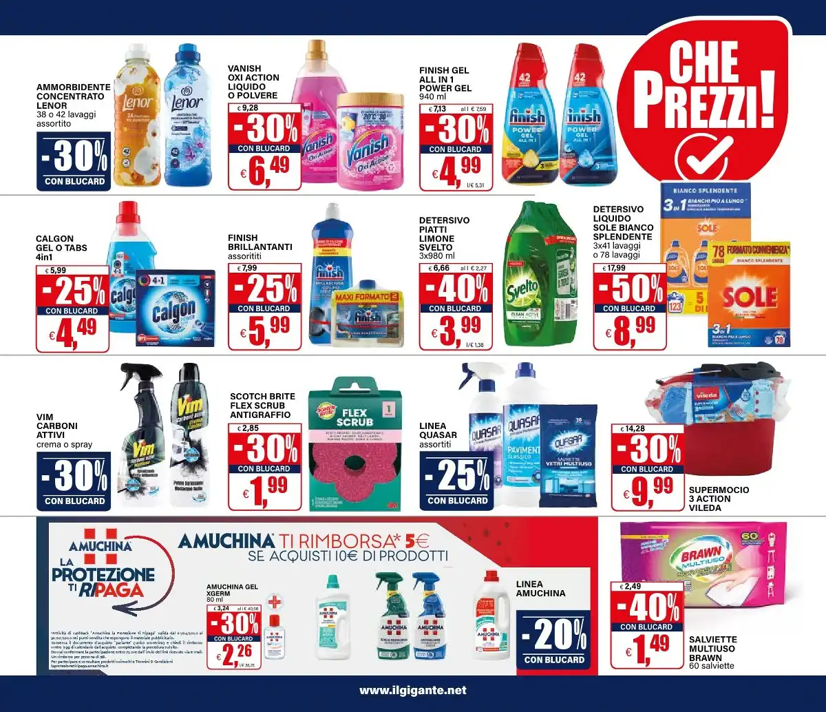 Volantino Il Gigante - Immagine 1 Il Gitante