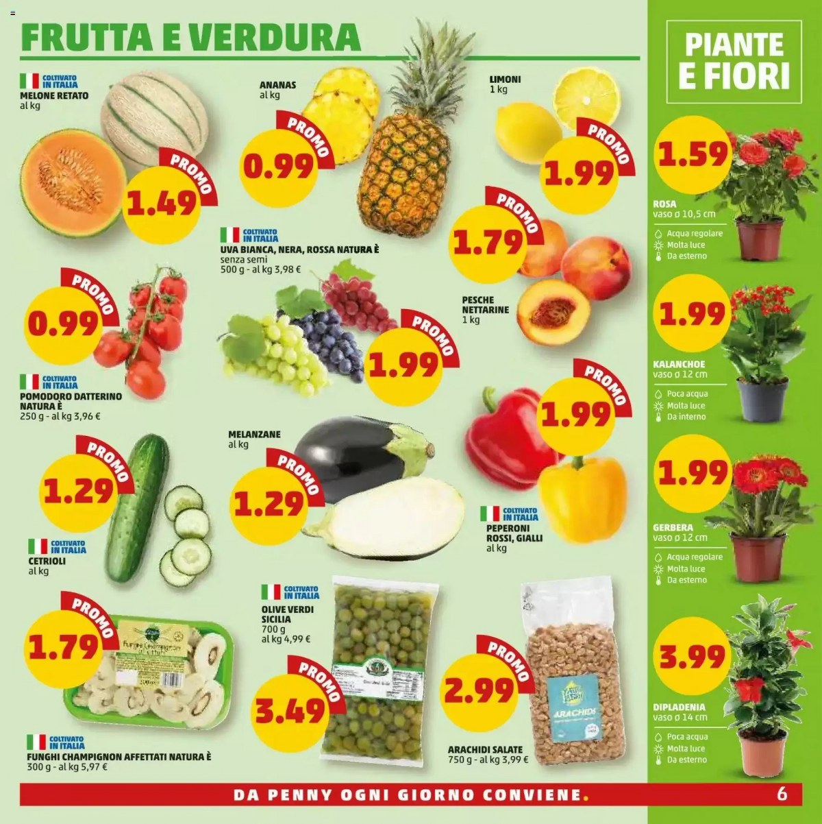 Dal 2 Luglio