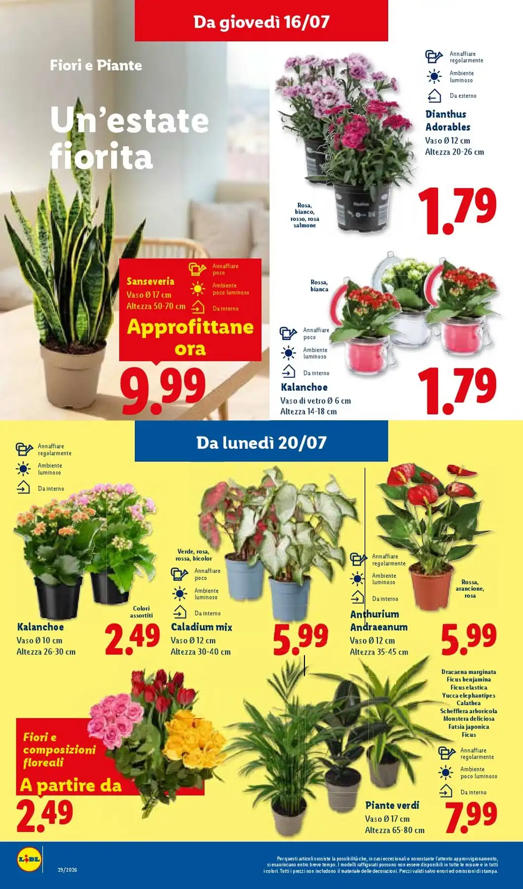 Lidl Black Friday