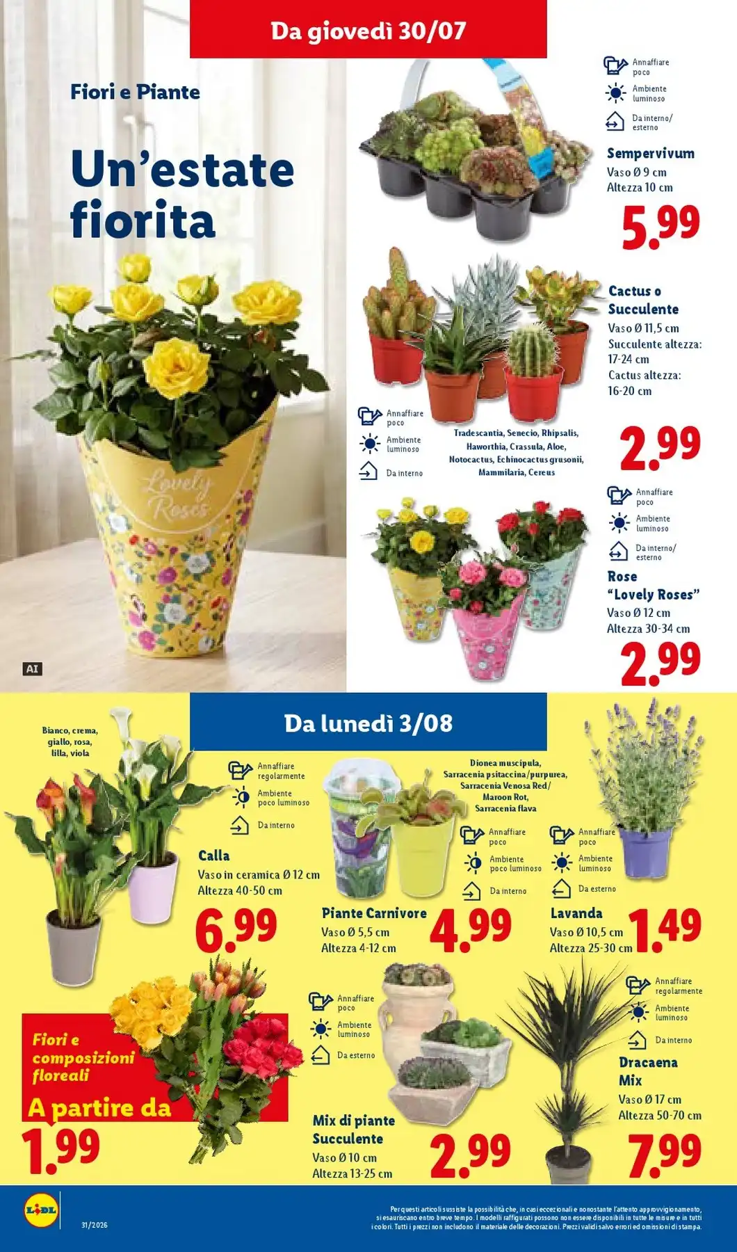 Volantino Lidl - Immagine 4 Lidl