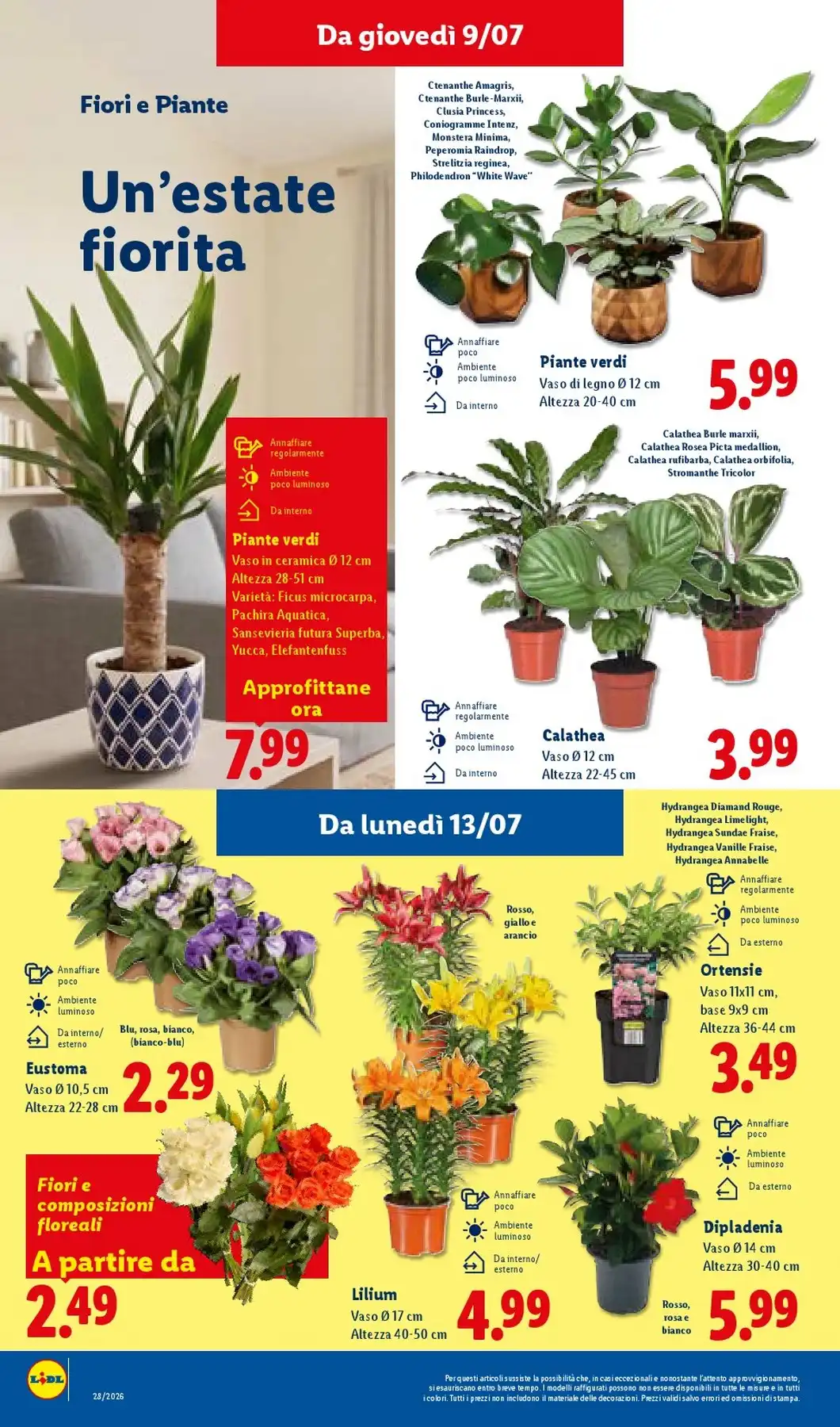 Volantino Lidl - Immagine 2 Lidl