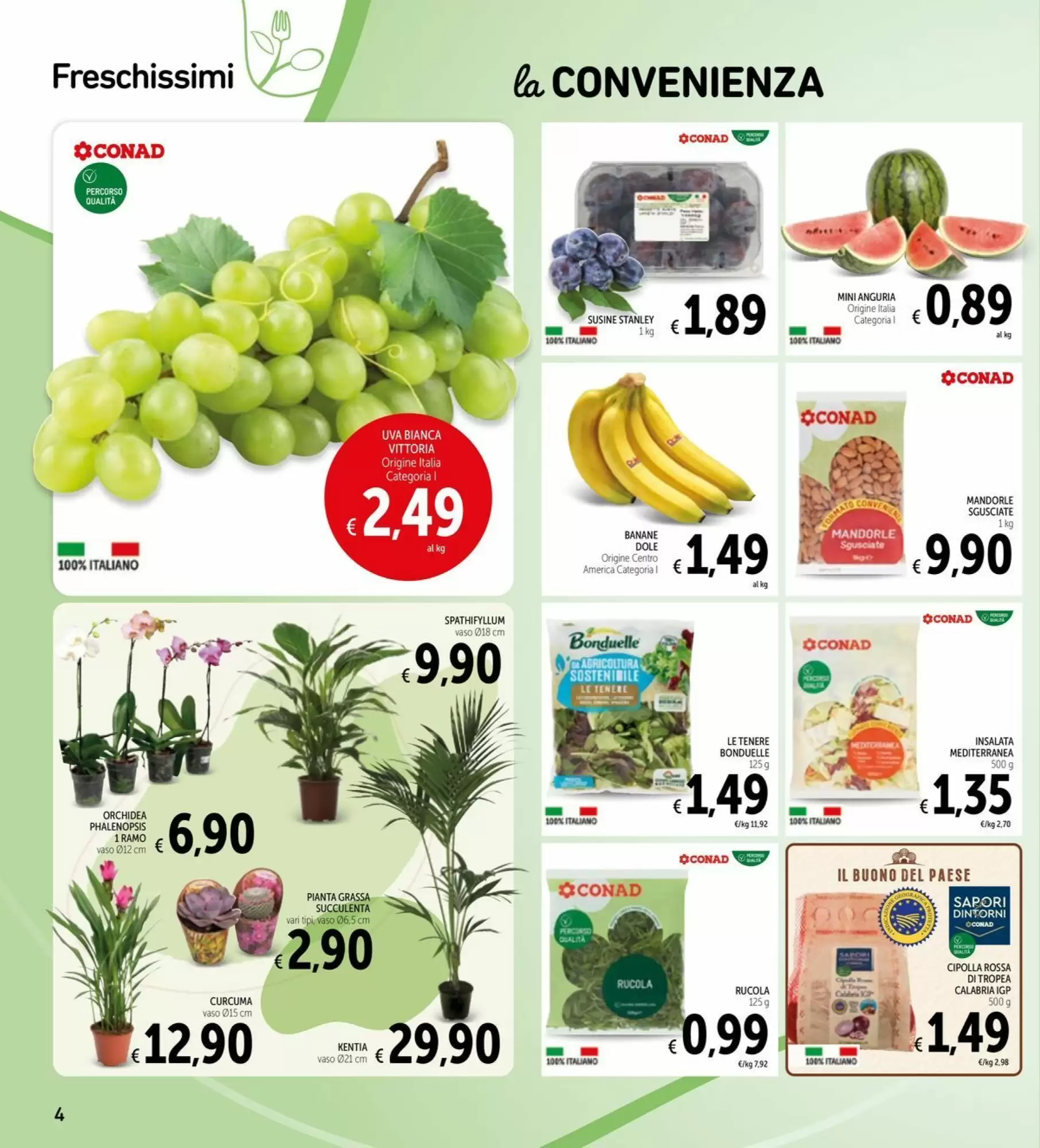Volantino Spazio Conad Dal 11 Agosto Al 24 Agosto 2026 Anteprima - Immagine 2 Dal 11 Agosto