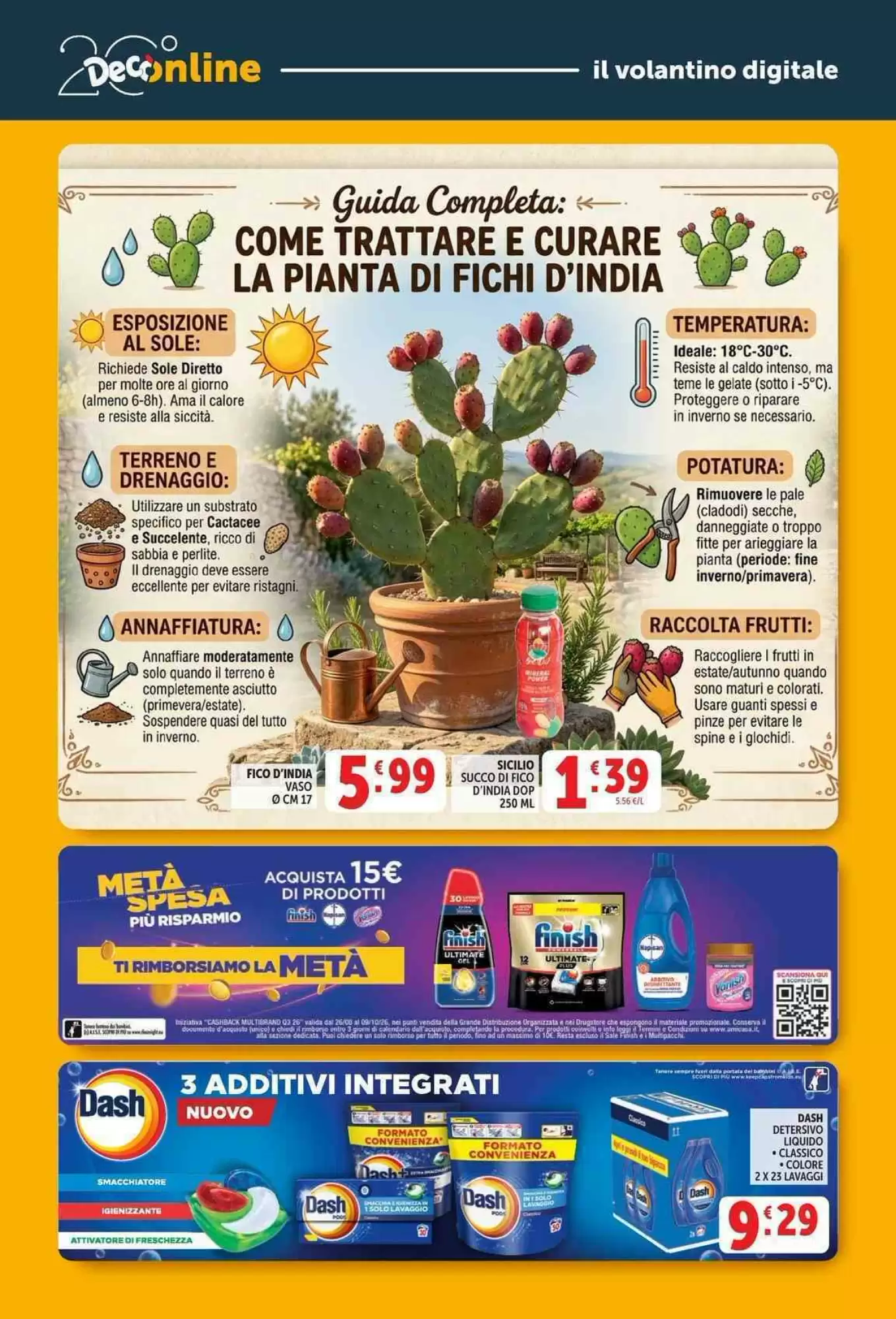 Volantino Decò - Immagine 4 Deco