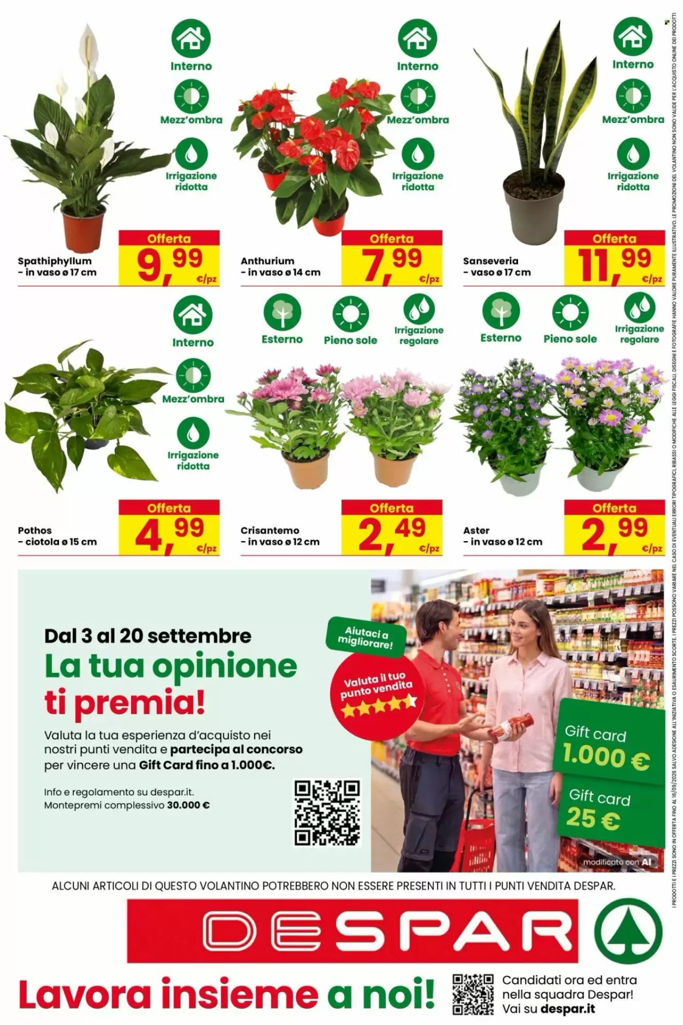 Volantino Despar Black Friday 2026 - Immagine 1 Volantino Despar