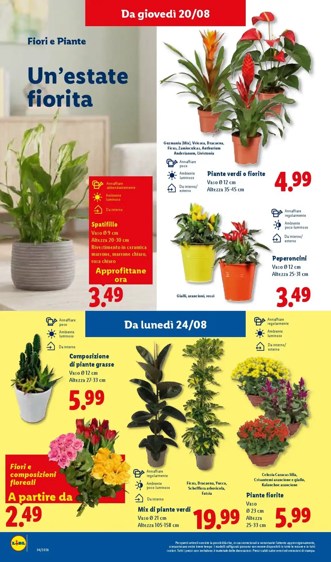Volantino Lidl Nuovo Dal 20 Agosto Al 26 Agosto 2026 Anteprima - Immagine 6 Dal 20 Agosto