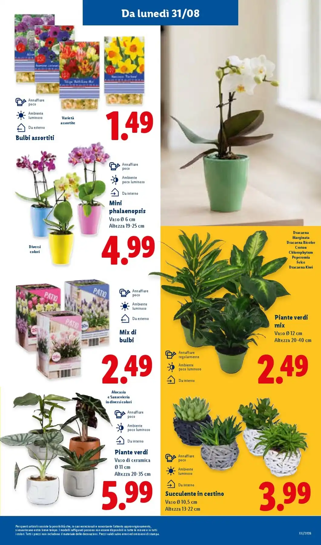Volantino Lidl Nuovo Dal 27 Agosto Al 2 Settembre 2026 Anteprima - Immagine 3 Dal 27 Agosto