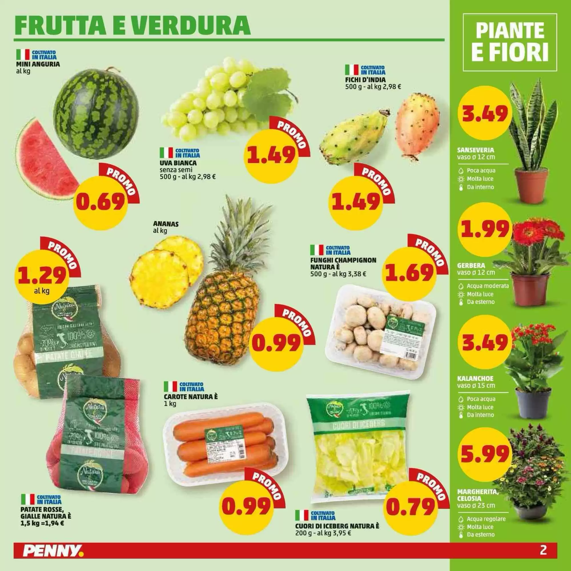 Volantino Penny Dal 13 Agosto Al 26 Agosto 2026 Anteprima - Immagine 2 Dal 13 Agosto