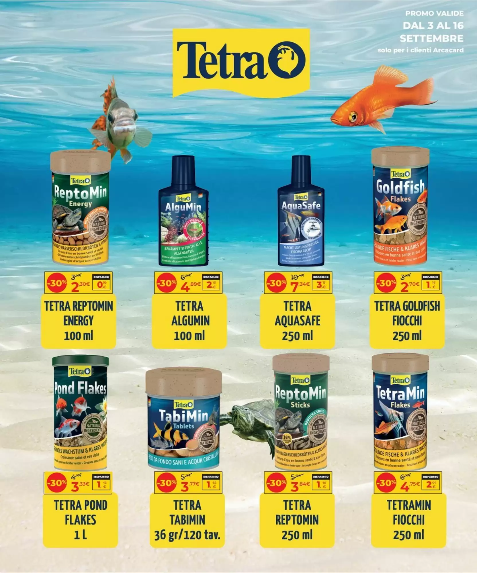 Dal 17 Settembre