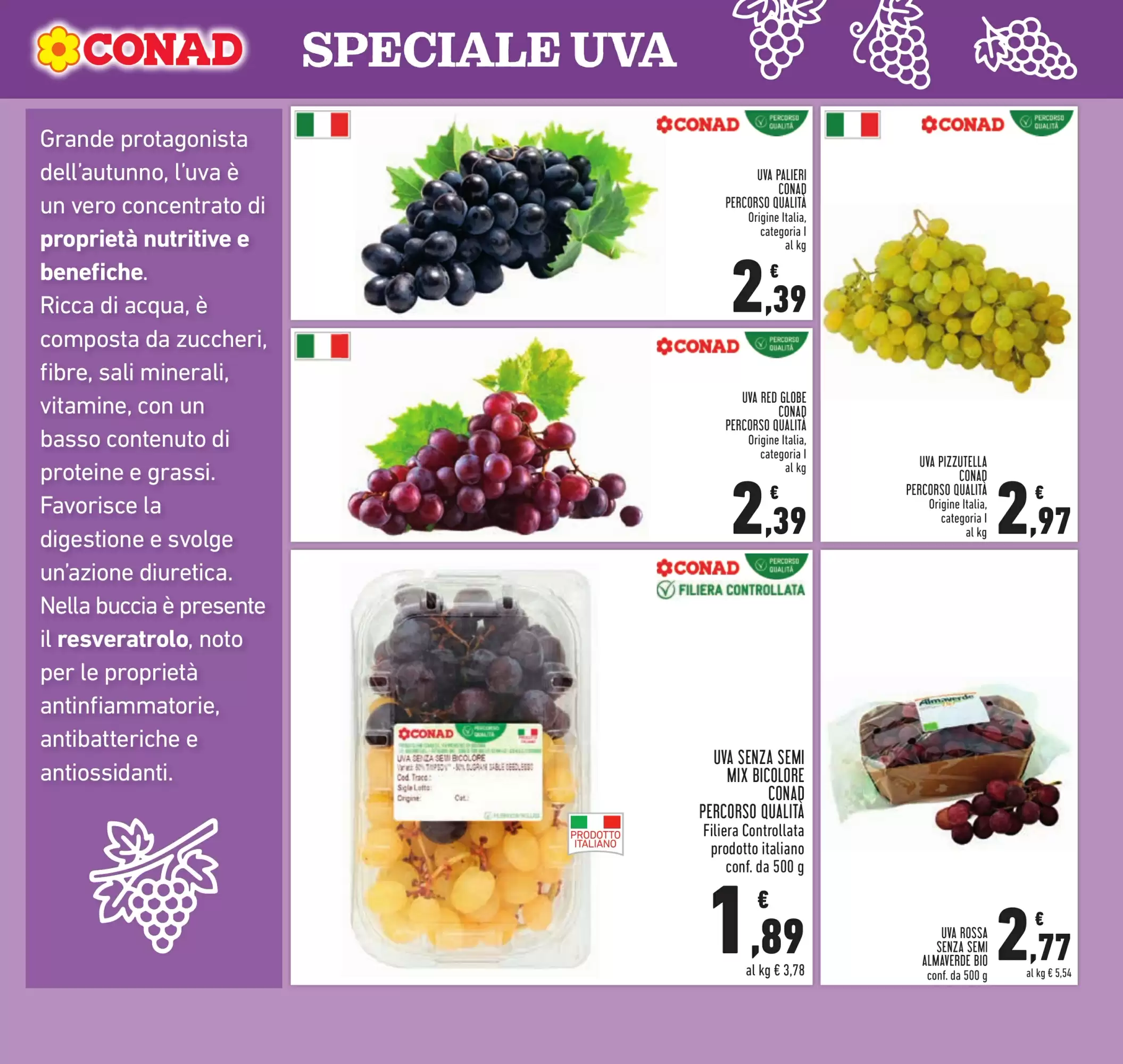 Volantino Conad Dal 23 Settembre Al 6 Ottobre 2026 Anteprima - Immagine 3 Dal 23 Settembre