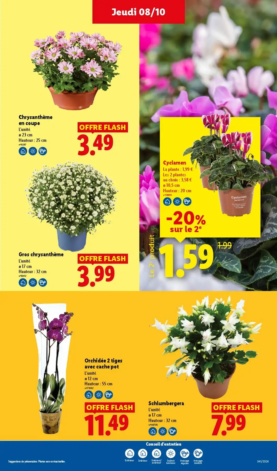 Volantino Lidl Nuovo Dal 15 Ottobre Al 21 Ottobre 2026 Anteprima - Immagine 1 Lidl